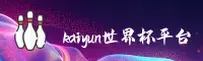 使用指南与常见问题
